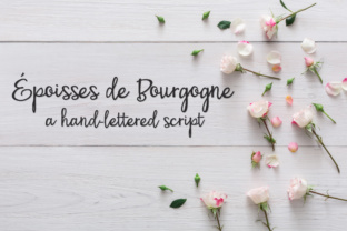 PN Époisses De Bourgogne: A Script Font for Digital Design